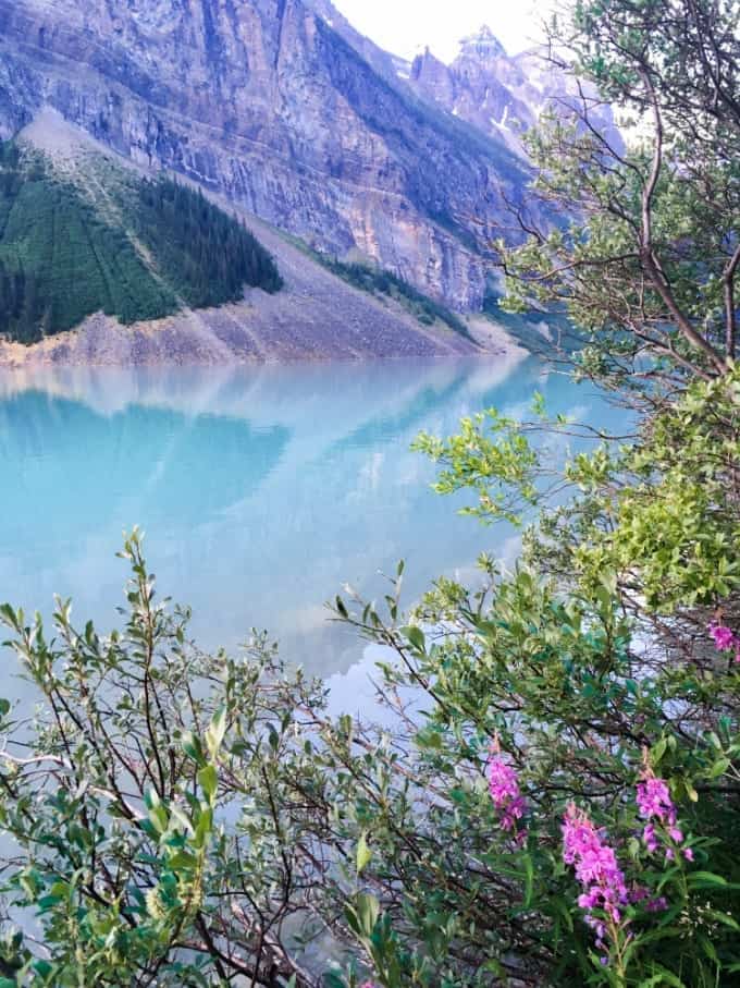 Cool blue waters of Lake Louise in Banff National Park, Alberta with colorful vegetation.