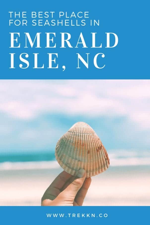 Emerald Isle Beaches - this is the best beach to find seashells hands down!