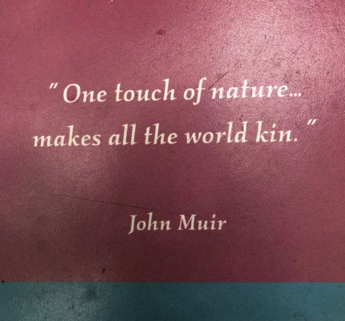 Quote from book with text 'one tough of nature makes all the world kin'