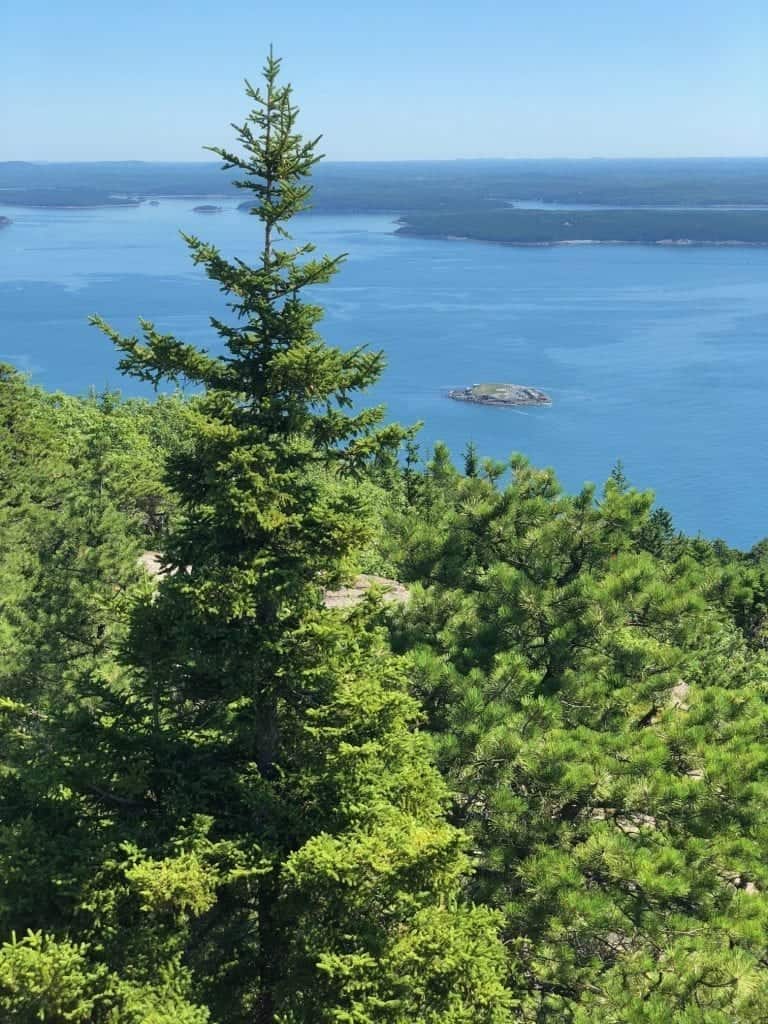 From the top of the Precipice Trail, you can get the view of a lifetime out over the park and even the town of Bar Harbor.