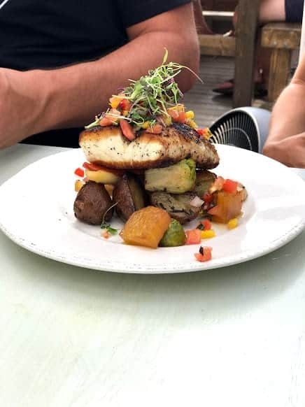 Halibut at The Blue Mussel Cafe in PEI