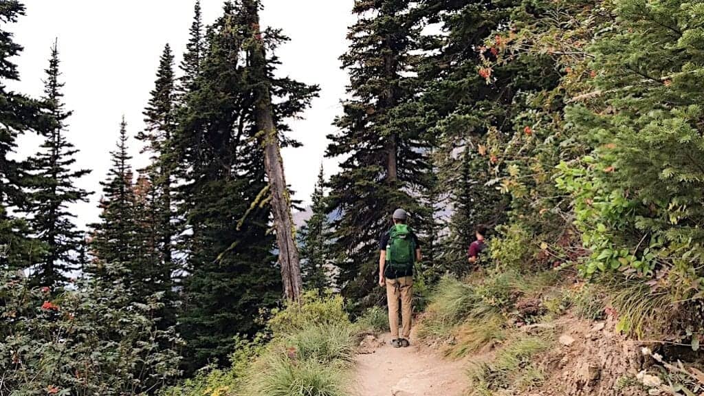 What you need to know about the Highline Trail in Glacier National Park, Montana