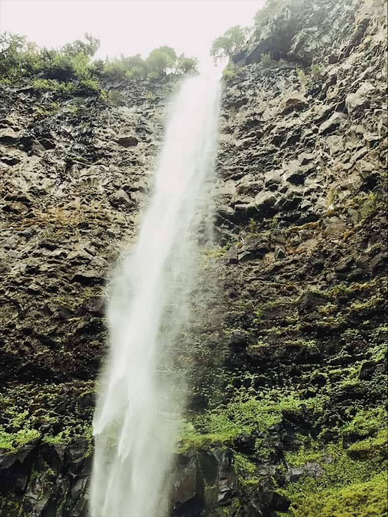 Waterfall in Umpqua National Forest in Oregon