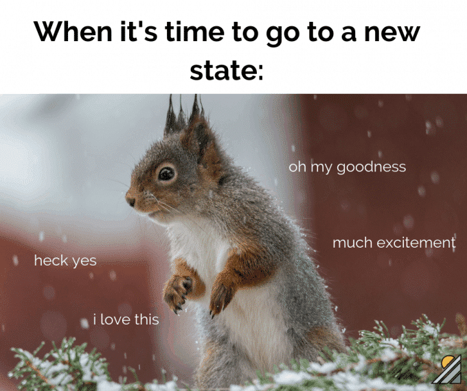 Snow falling on squirrel with text 'time to go to a new state'