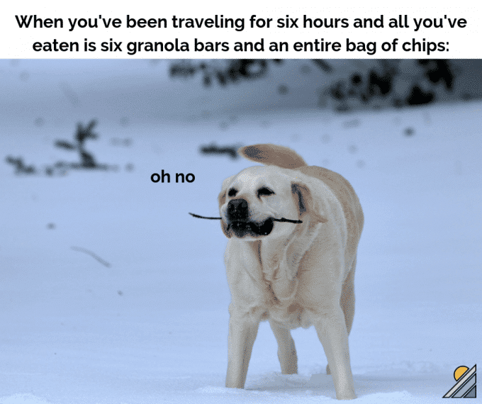 White Labrador dog with stick in mouth and text 'traveling for six hours'