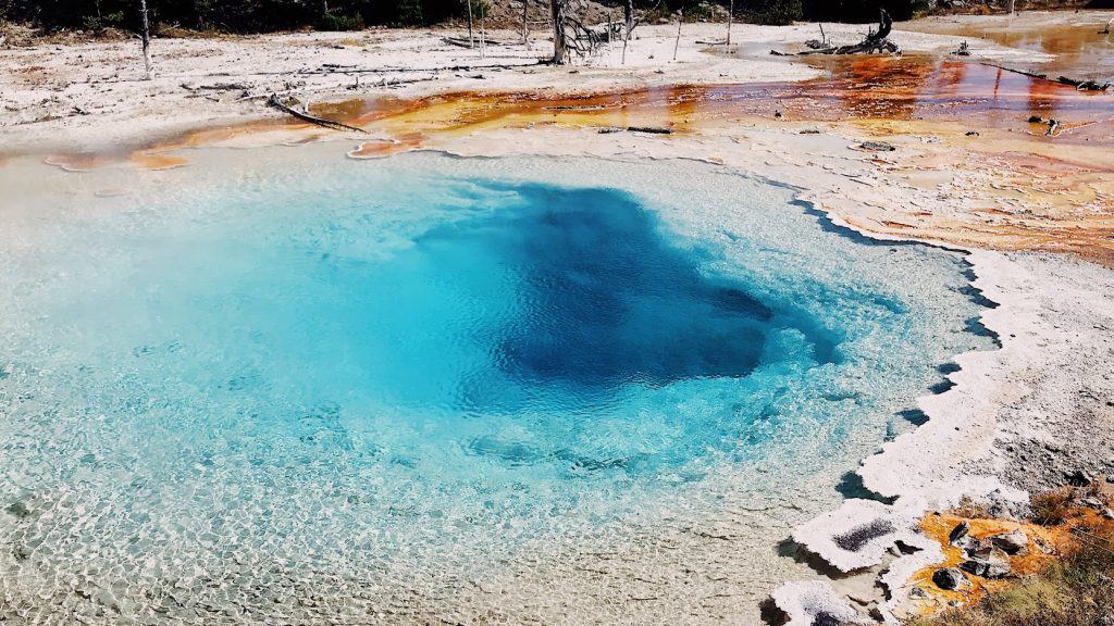 Bright blue hot springs in Yellowstone National Park