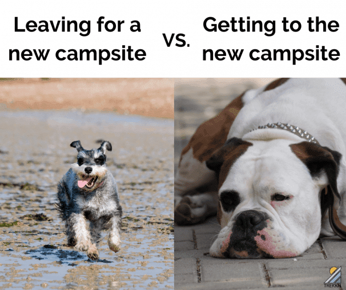 Happy terrier dog running and sleepy bulldog with text 'leaving for new campsite vs getting to new campsite'