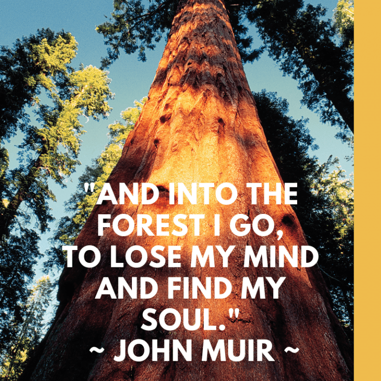Mondays with Muir: Meet John of the Mountains