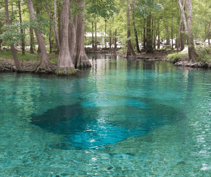 Clear blue waters of Ginnie Springs located in Florida.