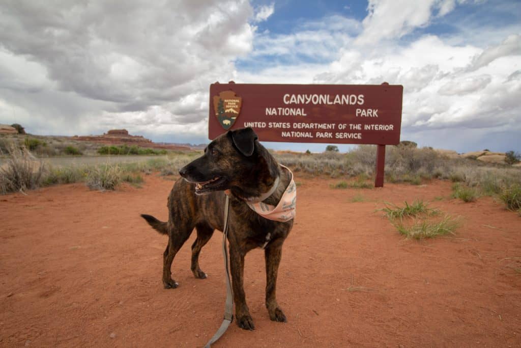 What to Know About Canyonlands national park