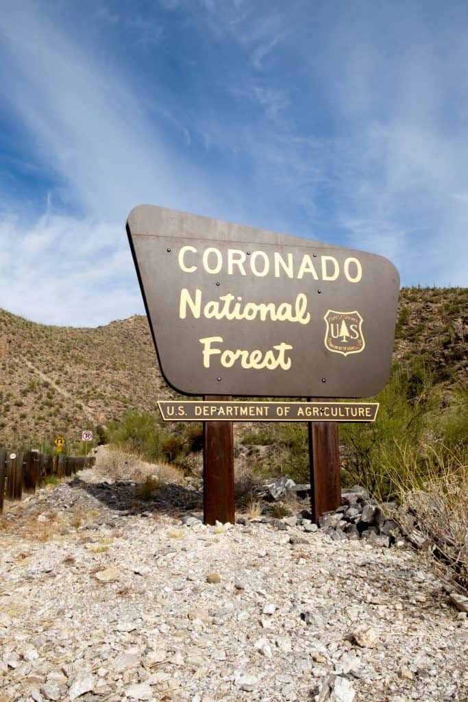 Coronado National Forest in Arizona