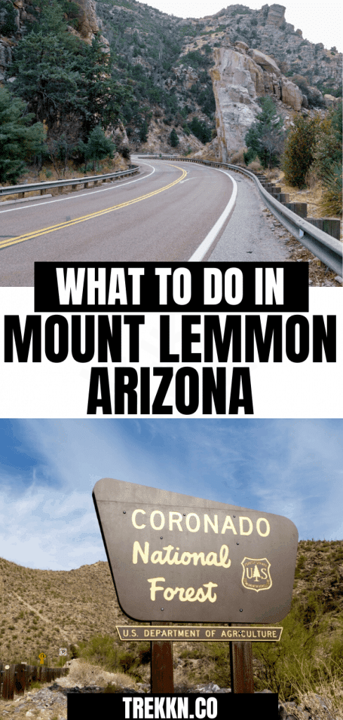 What to do in Mount Lemmon Arizona