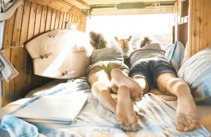 Two people and dog on bed inside camper van