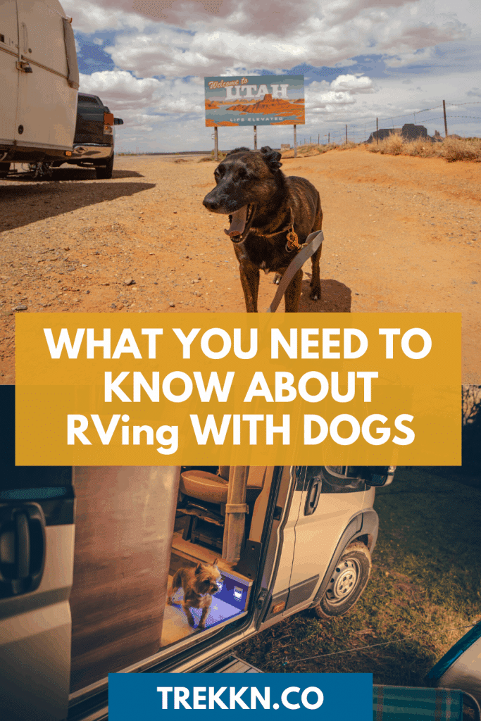 RV travel with dogs