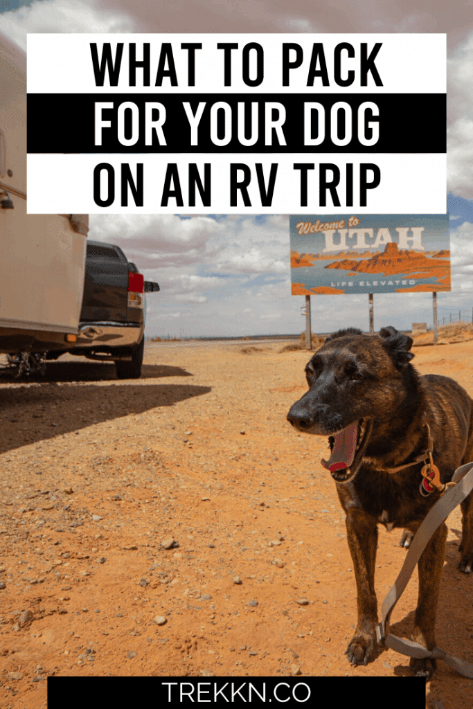 Taking an RV trip with your dog
