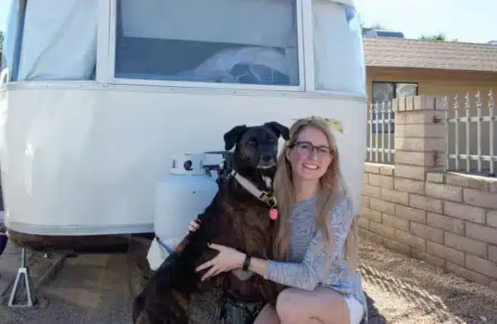 RVing with Dogs: Comprehensive Guide for Your Travels