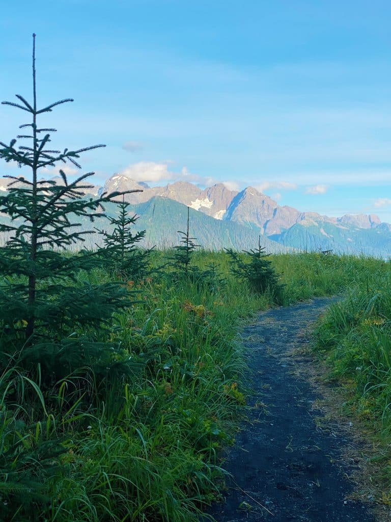 Views of the mountains seen from an amazing hiking trail that leads to the beach in Seward Alaska