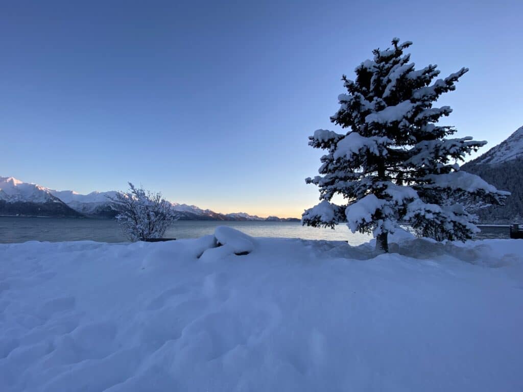 a snow covered kenai fjords national park