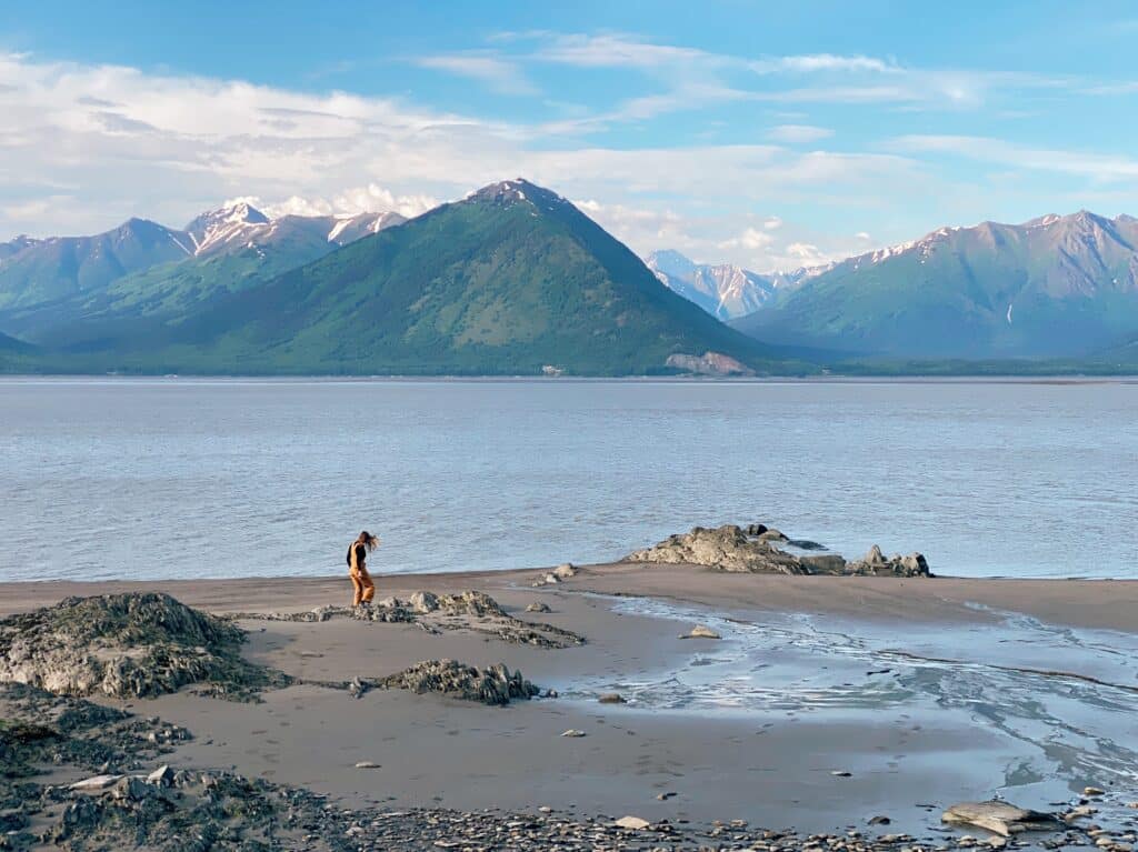 a view of Turnagain Arm in Alaska