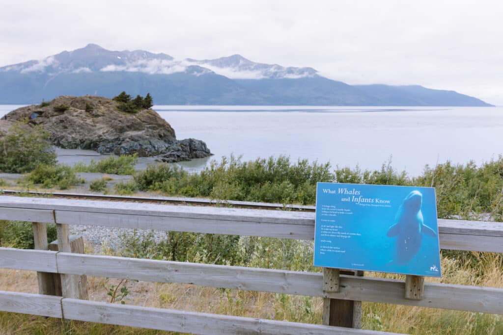 beluga point along the seward alaska highway