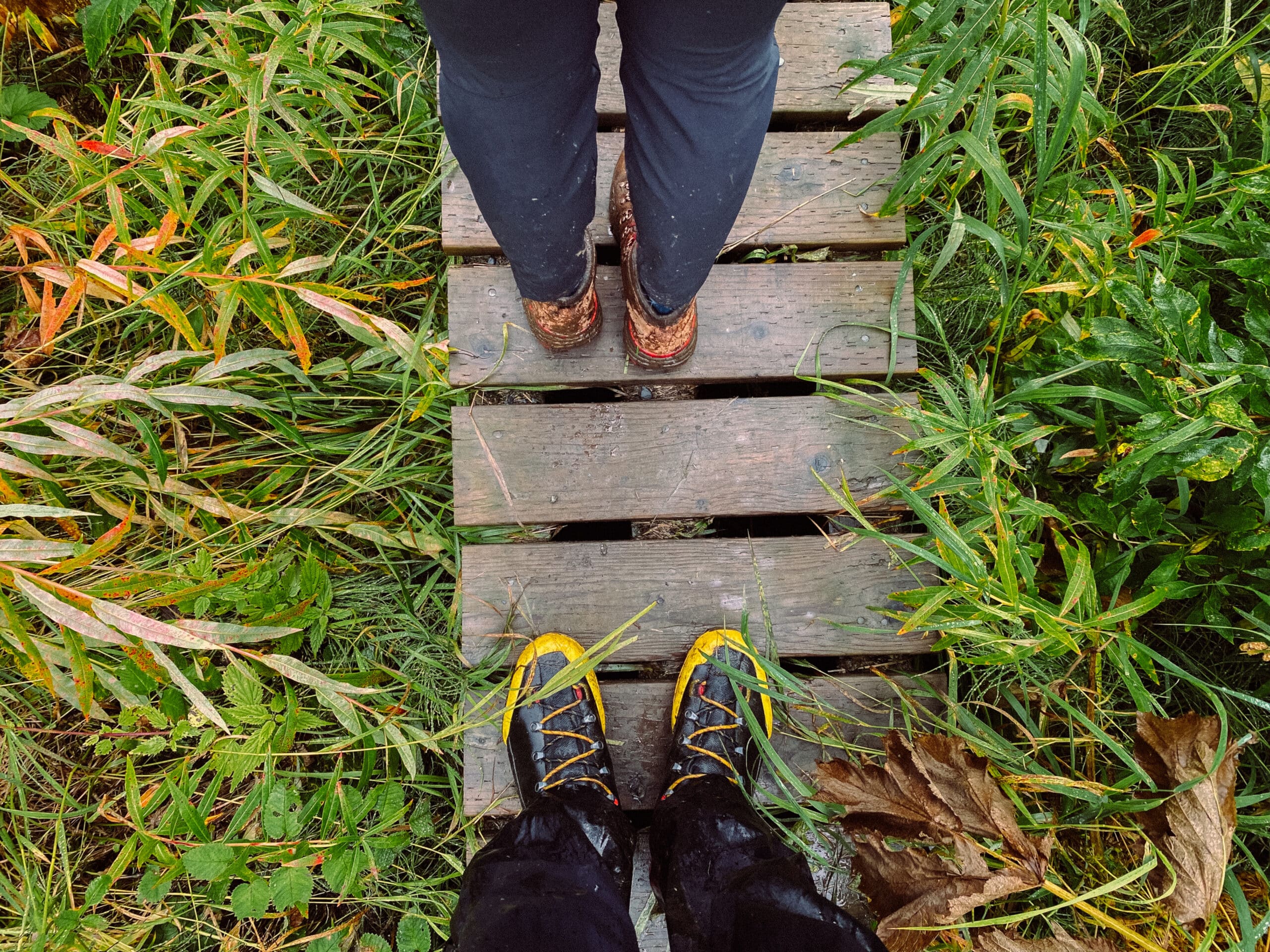 Wet boots worn by two people walking on wooden boardwalk