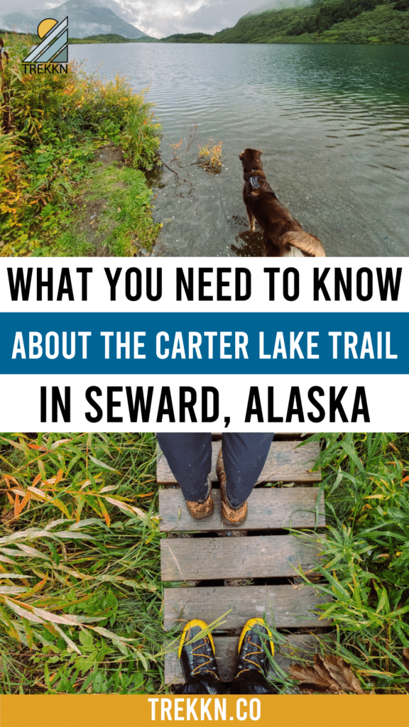 Dog in lake and close up of hiking boots on boardwalk with text 'what you need to know about the carter lake trail'