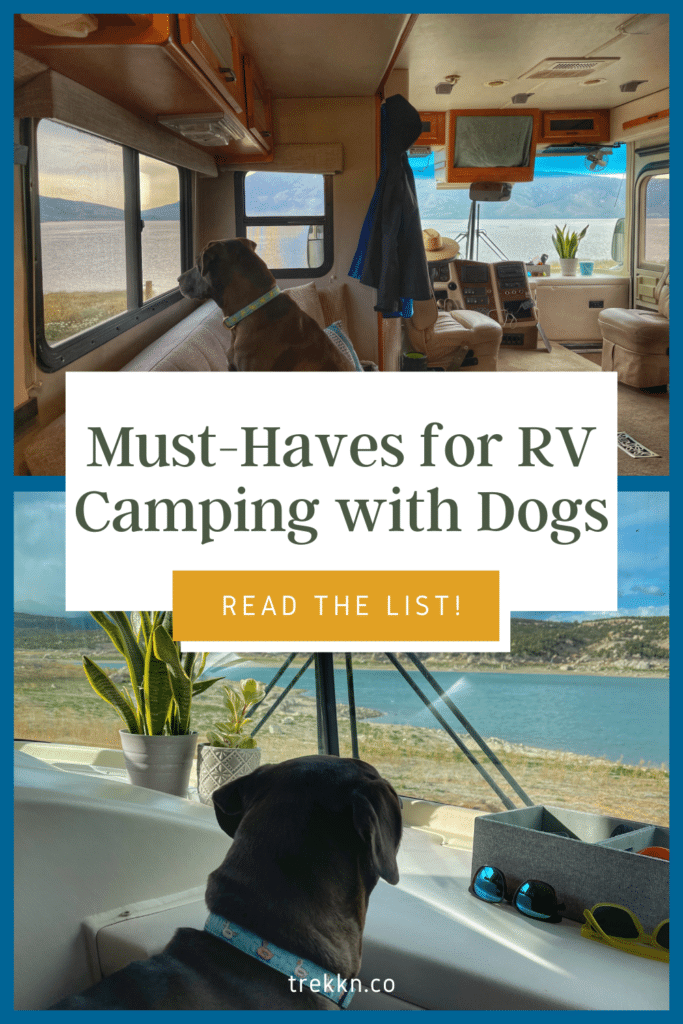 Dog sitting inside RV with text 'must-haves for RV camping with dogs'