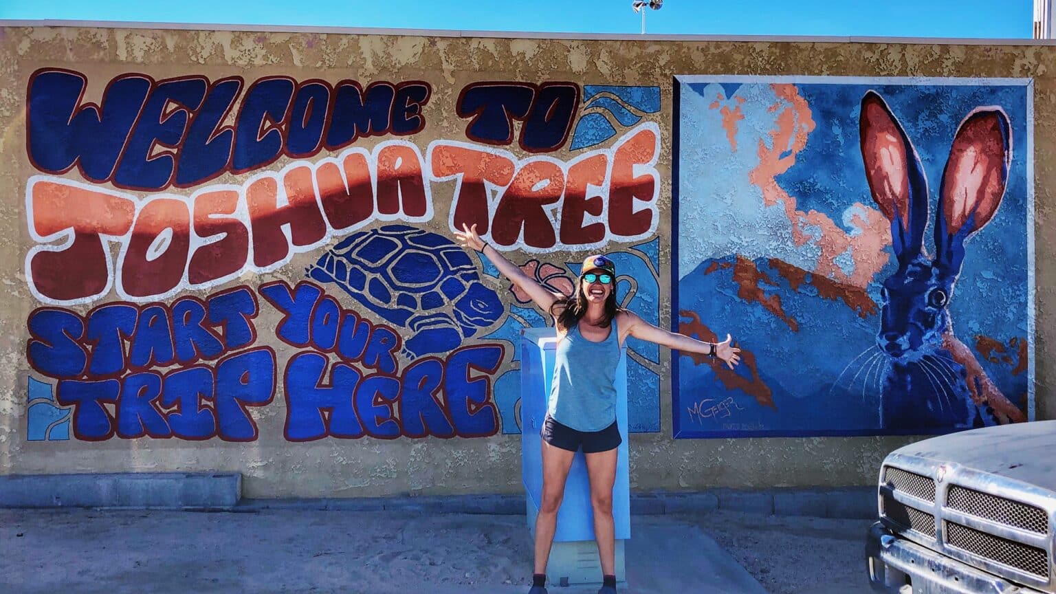 Your Best RV Guide to Joshua Tree National Park | TREKKN