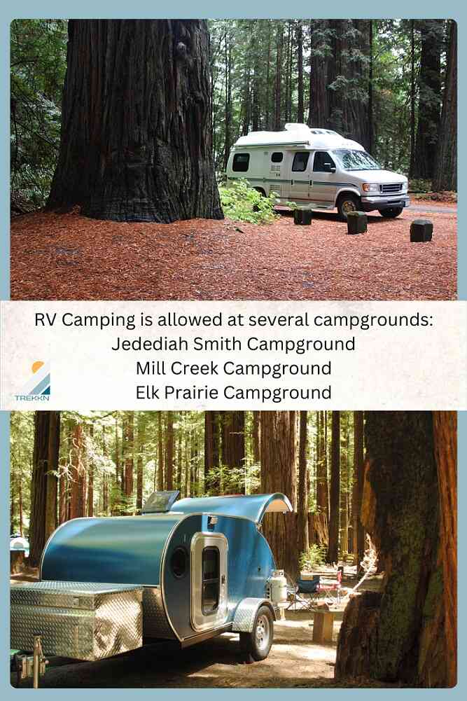 RV Camper and Motor Home parked in Redwood National Park.