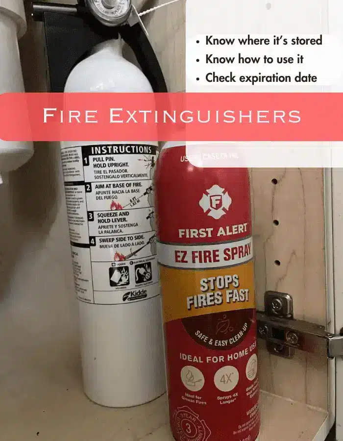 Two small fire extinguishers in cupboard.