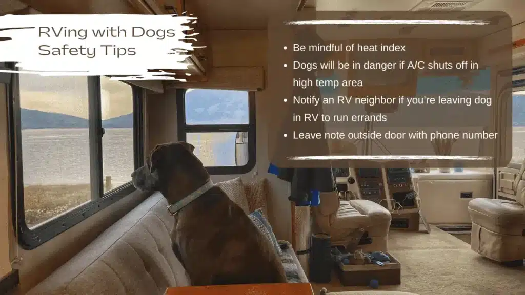 Brown dog sitting inside RV on sofa looking out window
