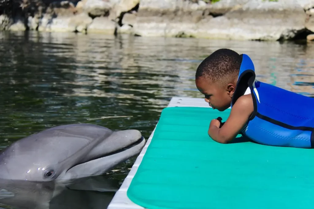 Young boy laying on edge of dock meeting dolphin.