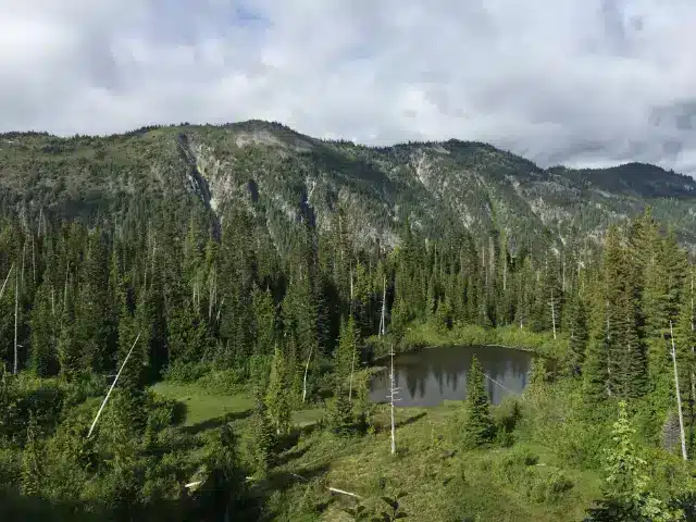 View of bench lake from hiking trail in mount rainier national park