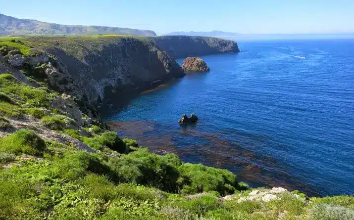 Edge of Santa Cruz Island where it meets the dark blue Pacific Ocean