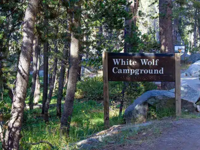 Entrance sign to White Wolf Campground in Yosemite National Park