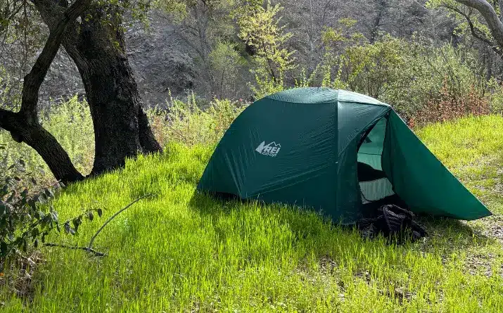 REI Half Dome tent pitched on grass near tree