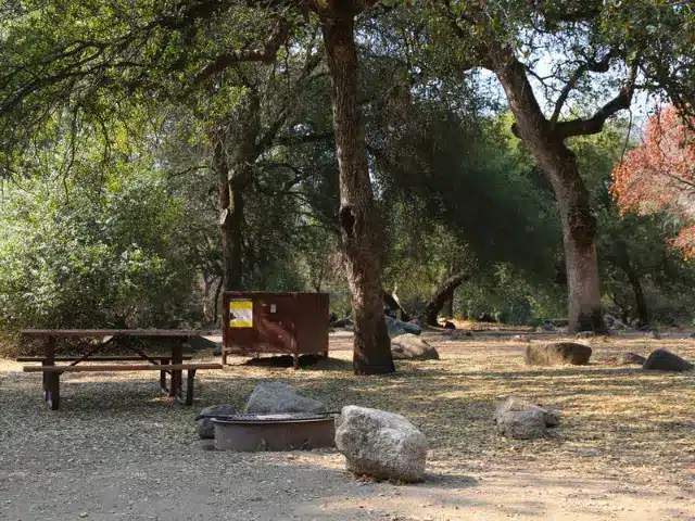 Camping site at Potwisha Campground