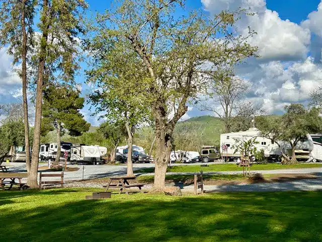 RVs parked at campsites at Lemon Cove RV Park in California