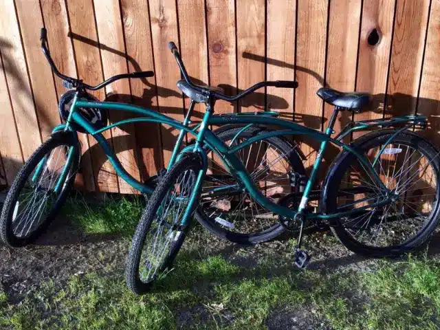 Two green bikes leaning against wood wall